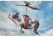 AI为什么救不了“想上天”的猪？