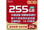 电信小雪卡 29元225G通用+30G定向 长期流量商品详情