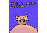 暑假2个月，你愿意代理流量卡吗？