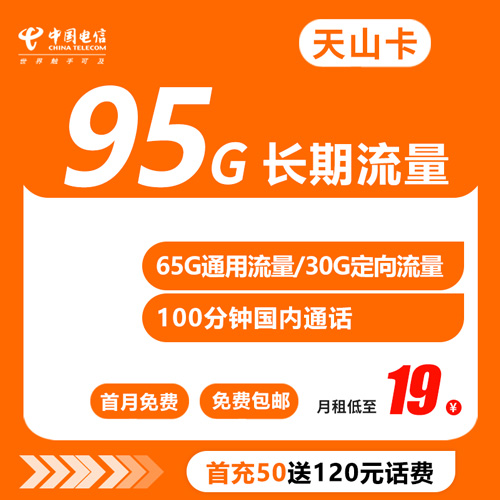电信天山卡 19元 95G 100分钟通话 长期流量