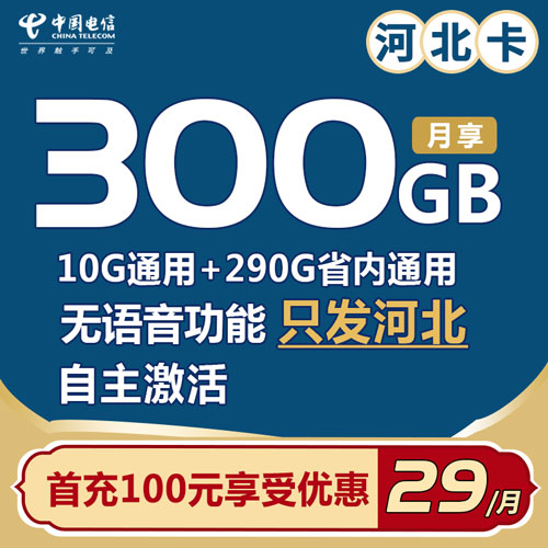 电信河北卡 29元包300G高速流量+无语音功能【自主激活】