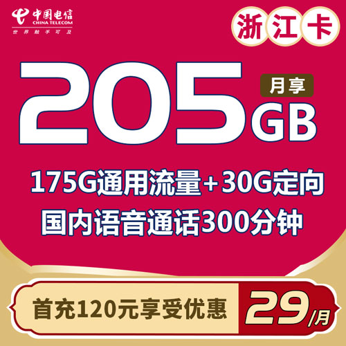 电信浙江卡 29元包175G通用流量+30G定向流量+300分钟（仅发浙江））