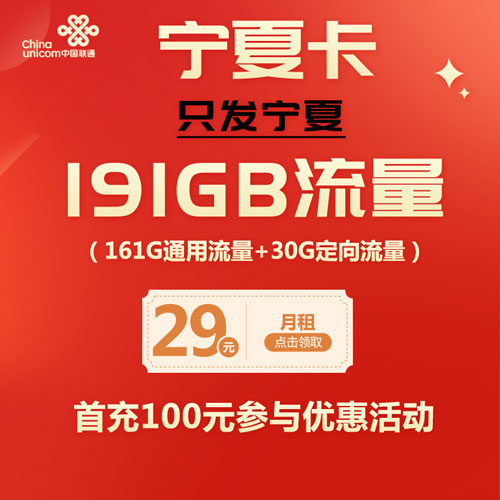 联通宁夏卡 29元包161G通用流量+30G定向流量+100分钟（仅发宁夏）