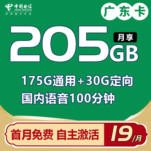 电信广东卡 19元205G流量+100分钟 只发广东【自主激活】