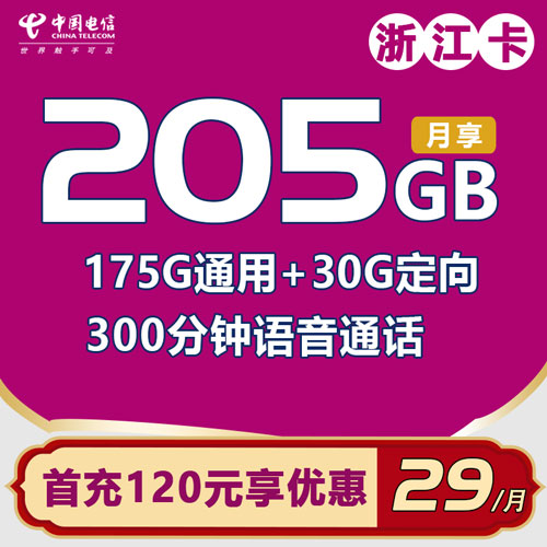 电信浙江卡 29元包175G通用流量+30G定向流量+300分钟（仅发浙江）