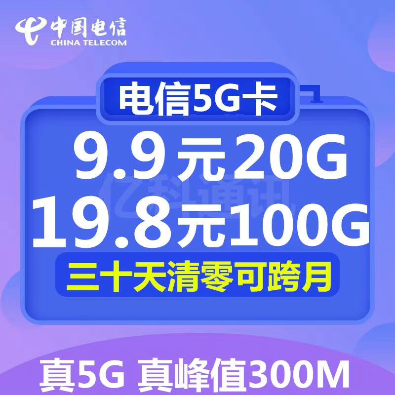 中国电信100G 真公网 真300M峰值 敢测试