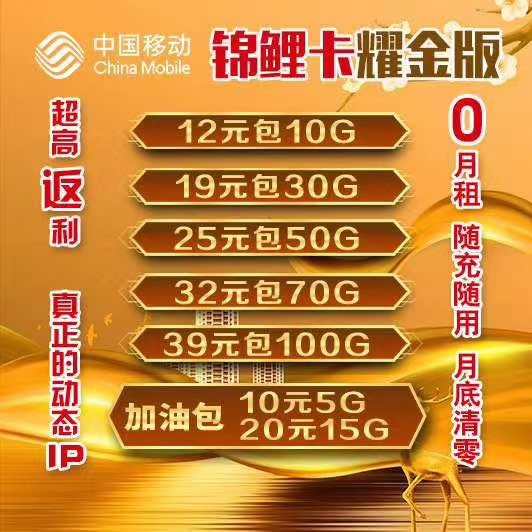 4，5g流量卡（可接系统）