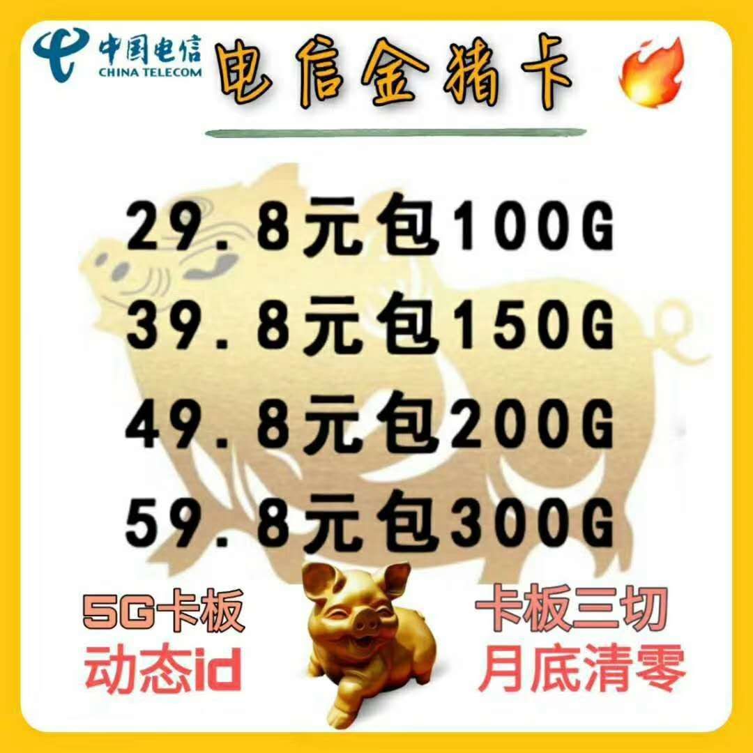 172沧海电信5g卡_电信金猪卡_10张起批