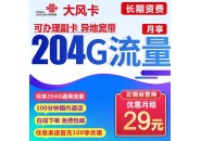 联通大风卡 29月租+204G通用流量+100分钟【长期资费】